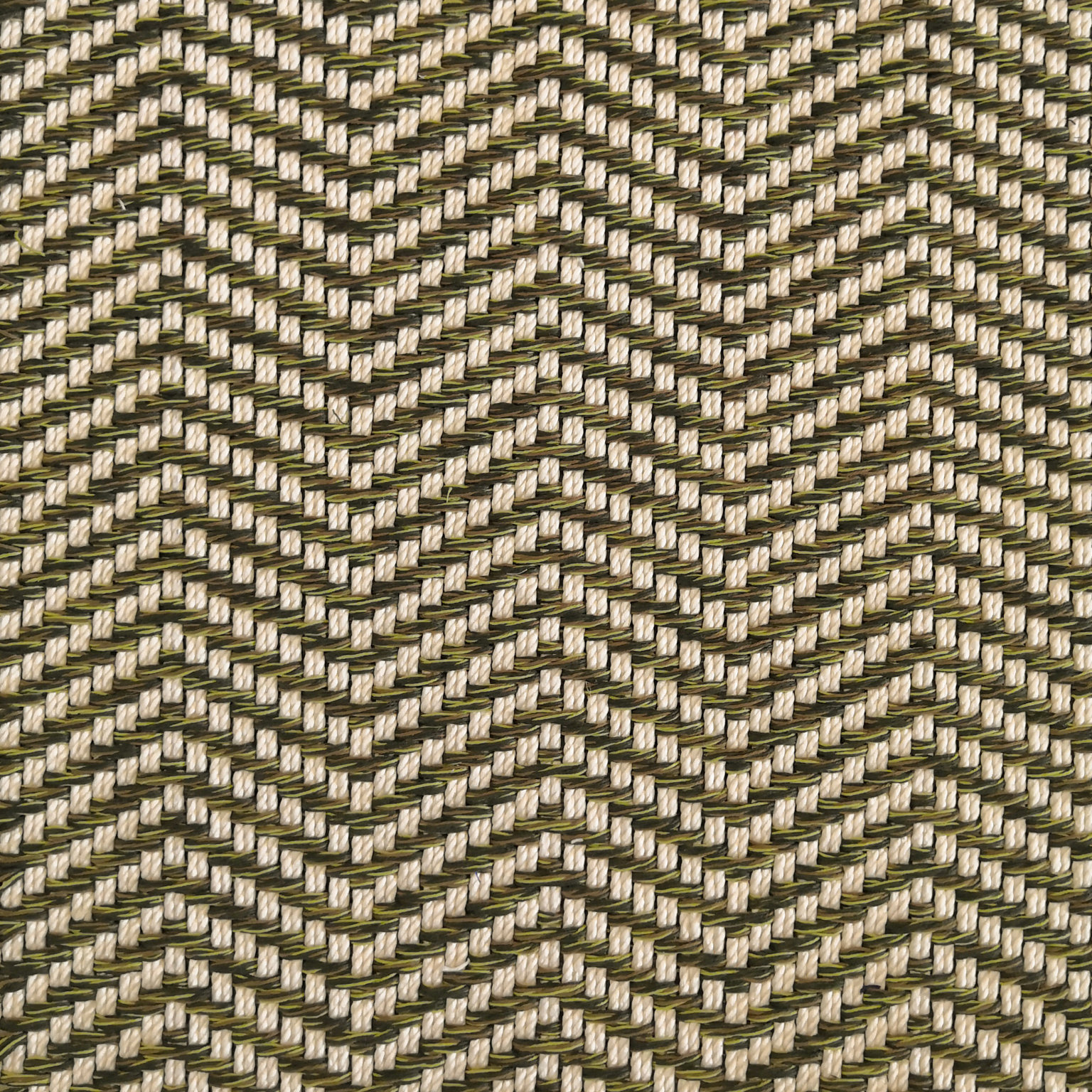 Moss