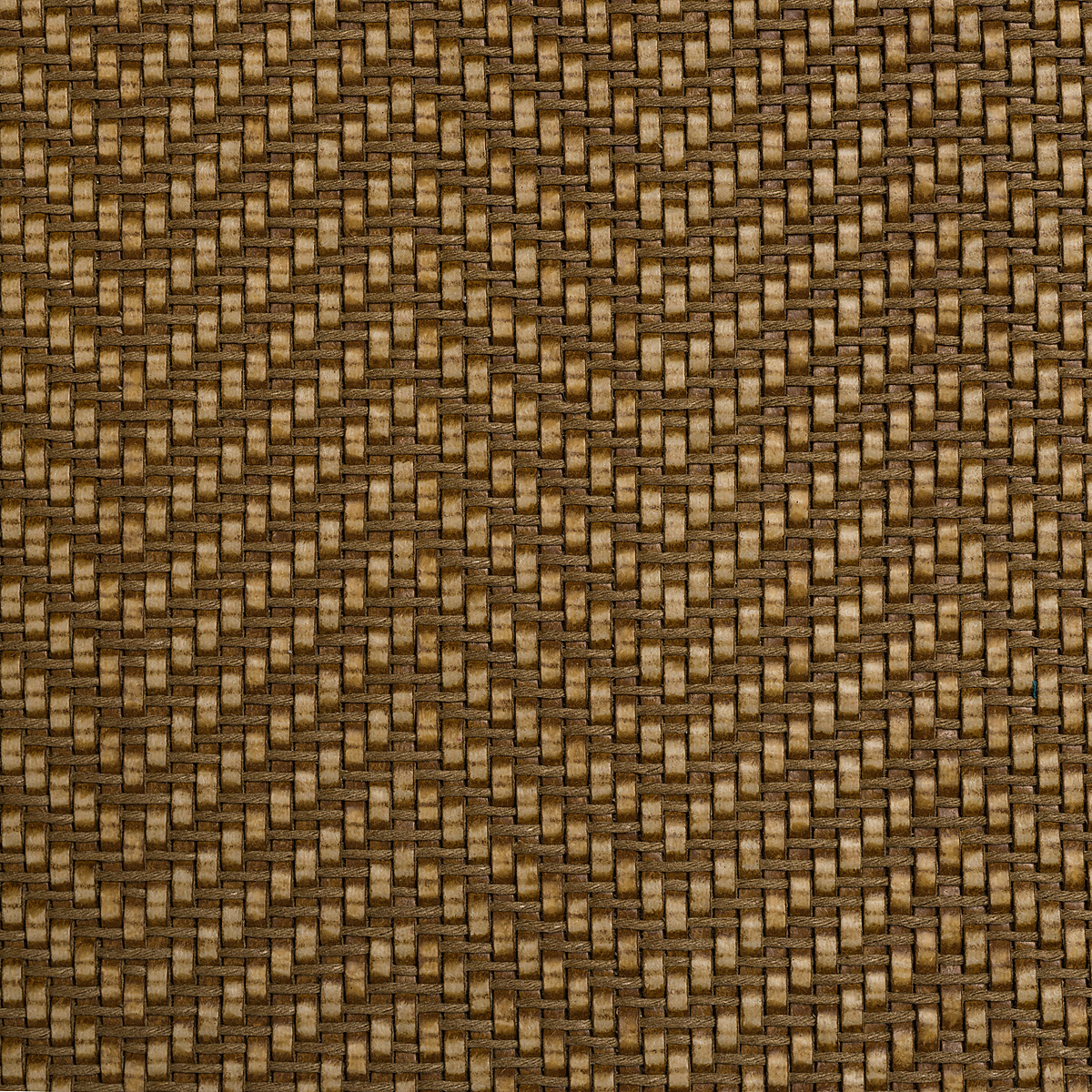 1010