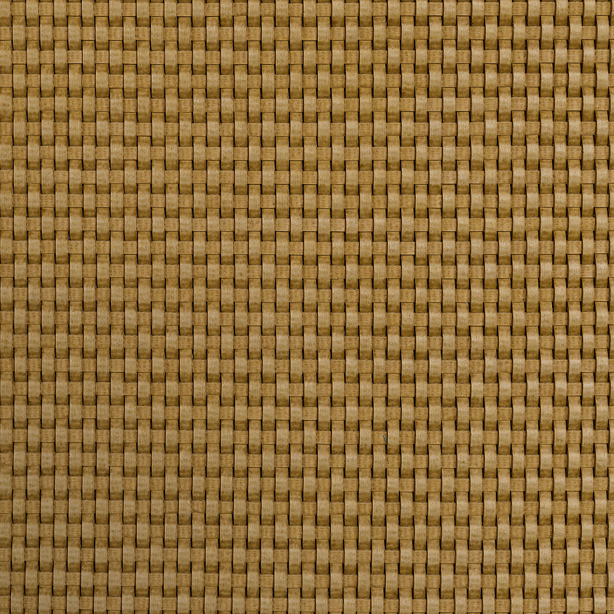 1010