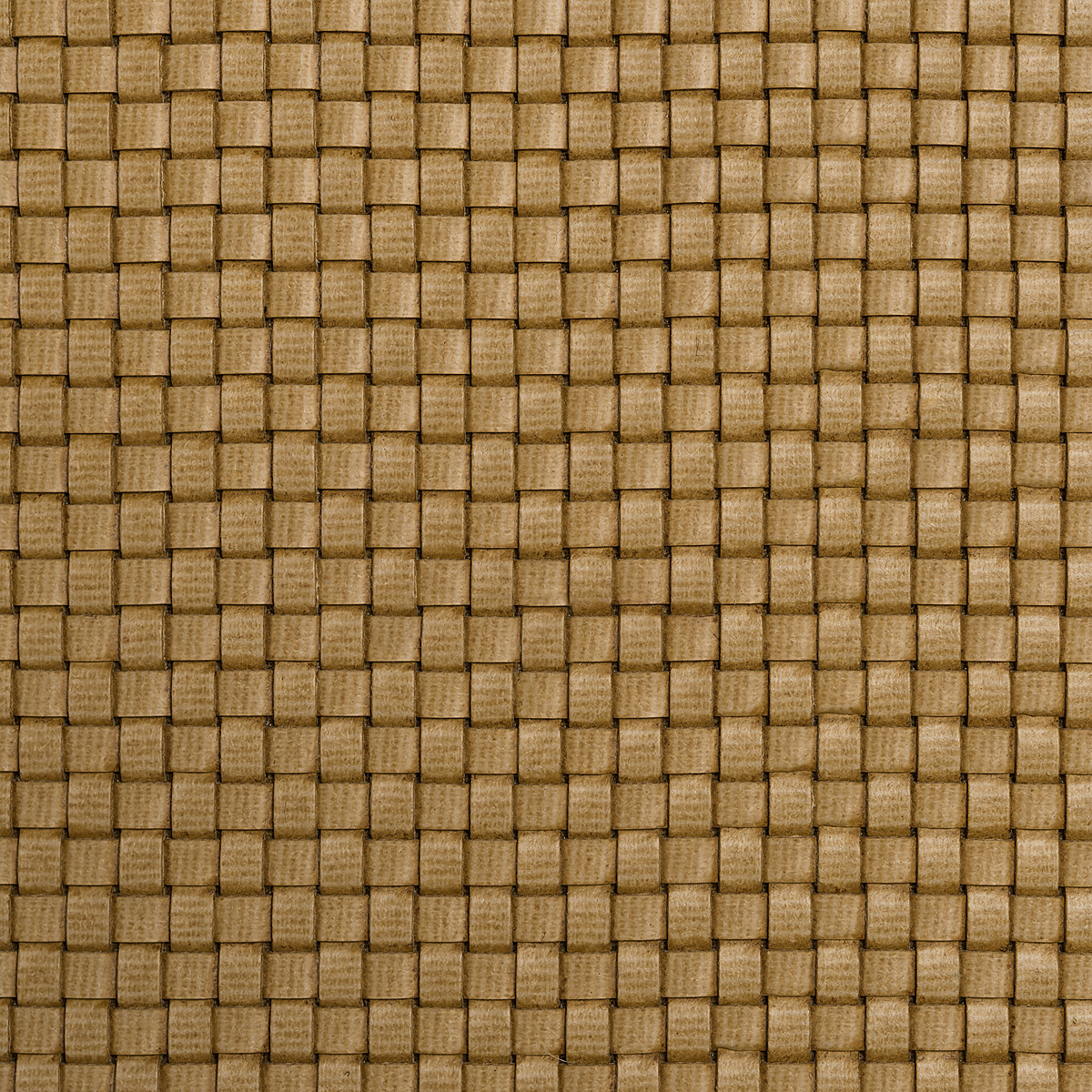 1010
