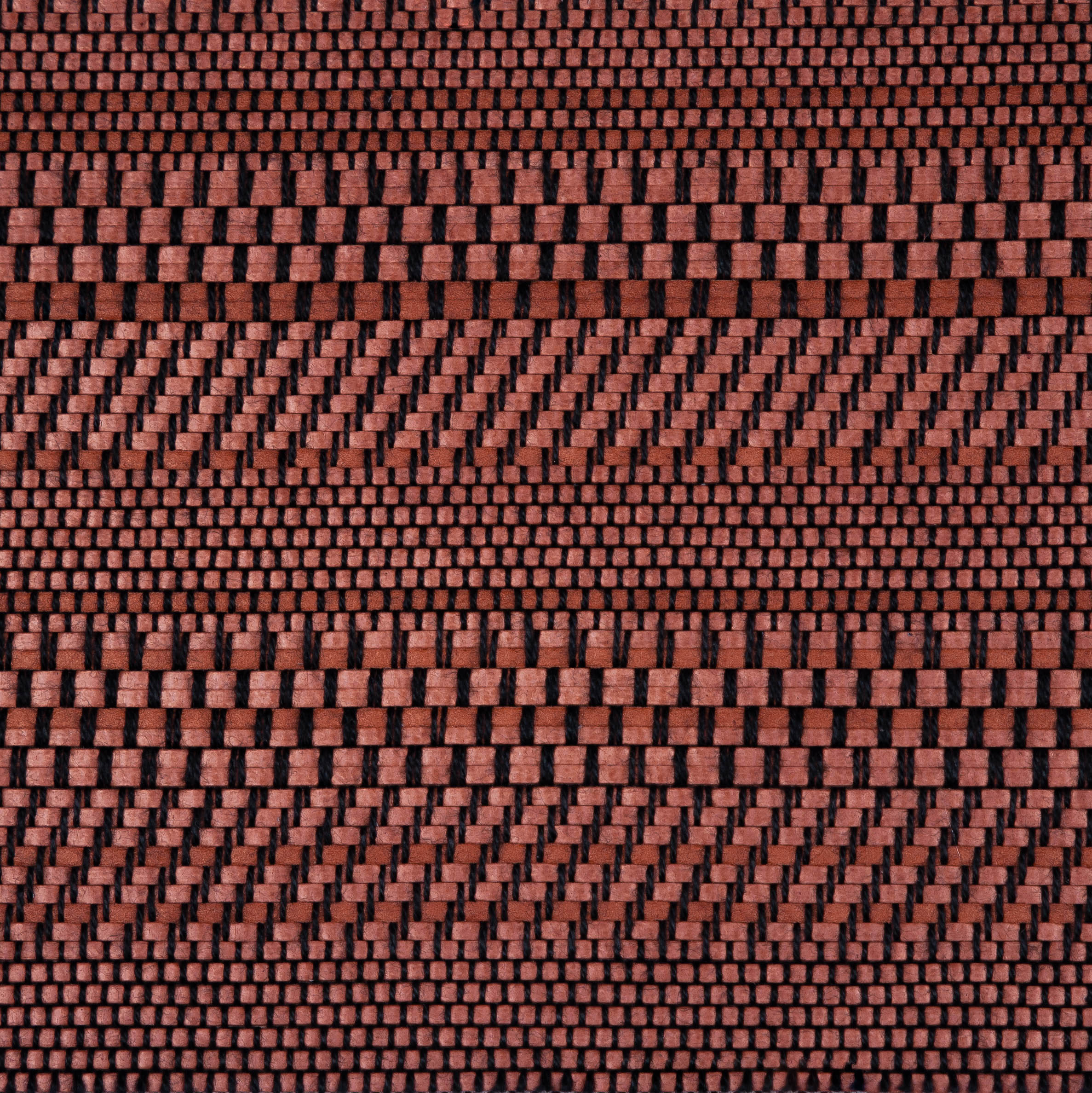 1019