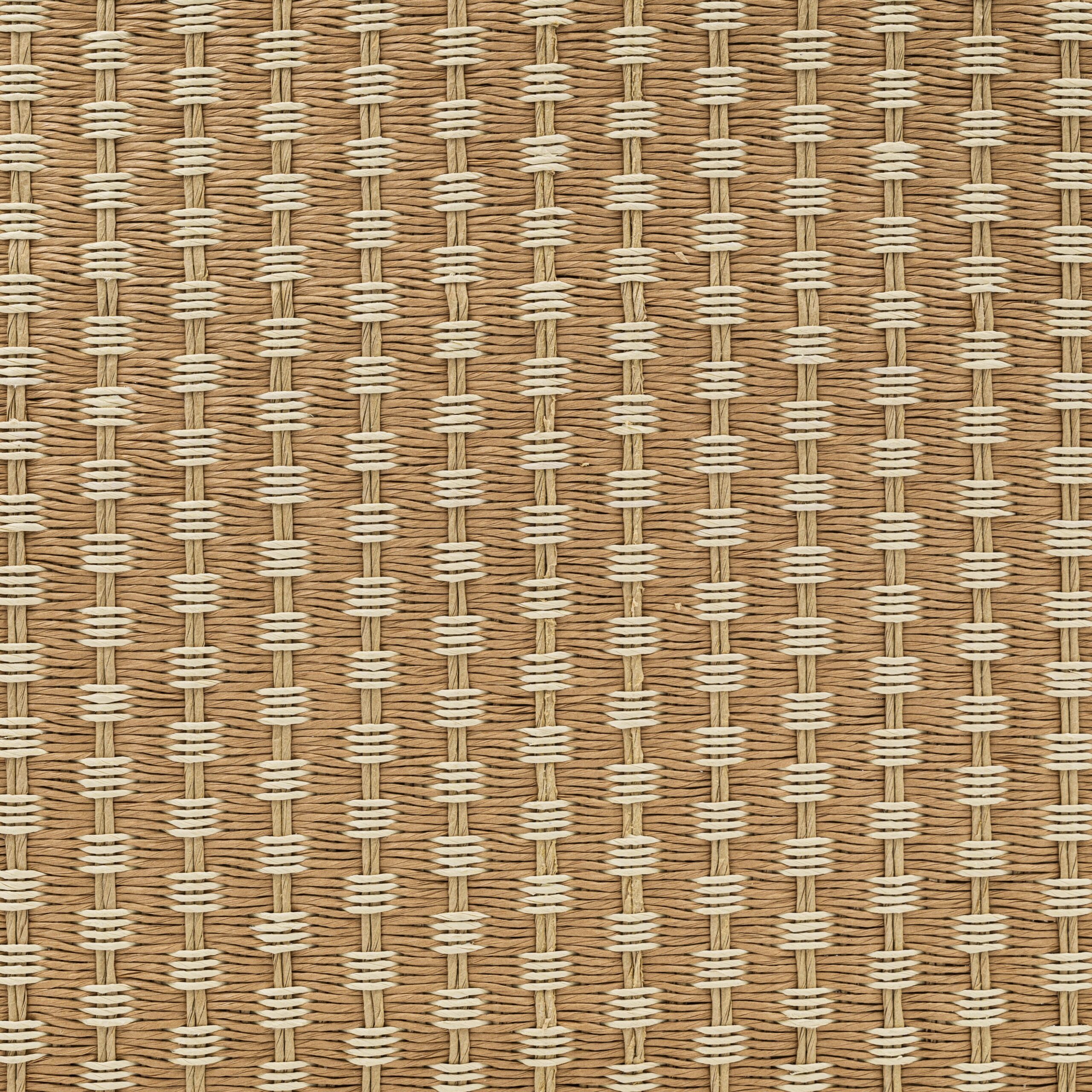 Saranac Palm