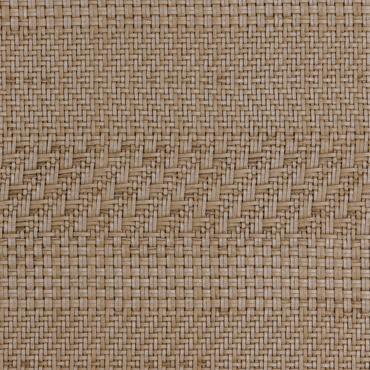 504